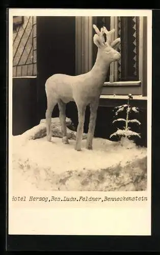 AK Benneckenstein, Ein Hirsch aus Eis am Hotel Herzog v. Ludw. Feldner, Eisplastik