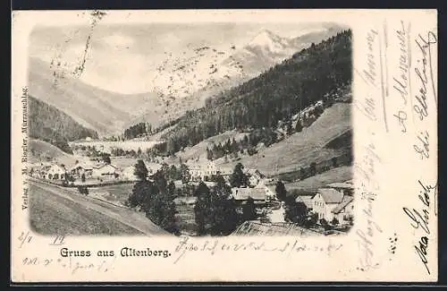 AK Neuberg an der Mürz, Altenberg, Ortsansicht