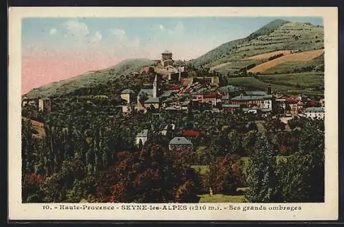 AK Seyne-les-Alpes, Ses grands ombrages