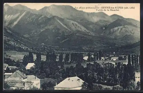 AK Seyne-les-Alpes, Les Alpes pittoresques, Vallée de la Blanche