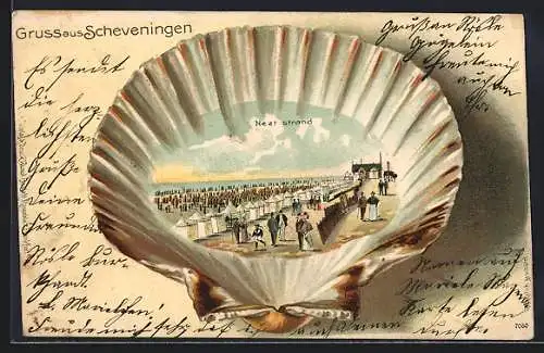 Passepartout-Lithographie Scheveningen, Neet strand, Ansicht auf Muschel