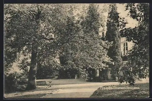 AK Gursuf /Krim, Blick auf den Puschkin-Palastgarten