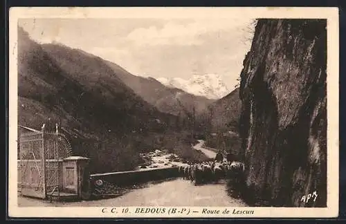 AK Bedous, Route de Lescun, Schafherde auf Bergstrasse