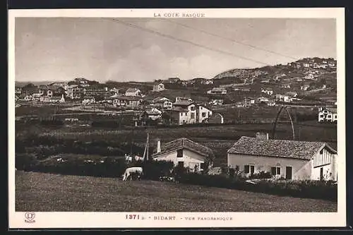 AK Bidart, La Côte Basque, Vue Panoramique