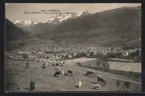 AK Laruns, Un pâturage sur la Montagne