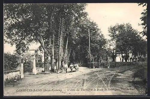 AK Cambo-les-Bains, L`Allée des Thermes et la Route de Saint-Jean-Pied de Port