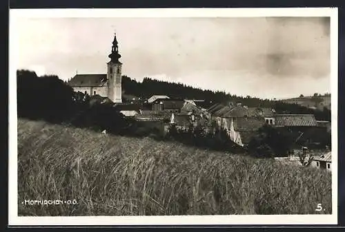 AK Hofkirchen /O.-Oe., Ortsansicht mit Kirche