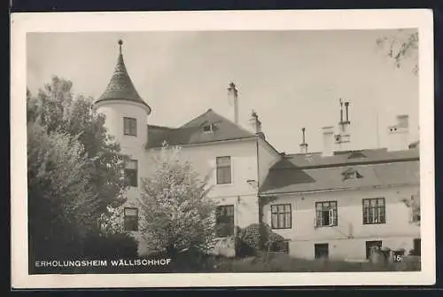 AK Maria Enzersdorf, Erholungsheim Wällischhof