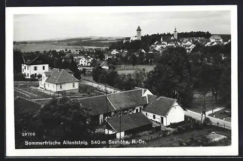 AK Allentsteig, Strassenansicht mit Häusern