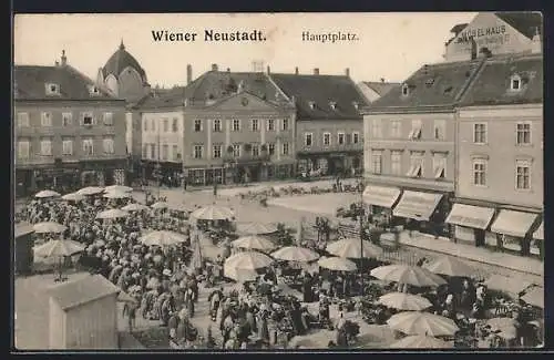 AK Wiener Neustadt, Belebter Markt am Hauptplatz