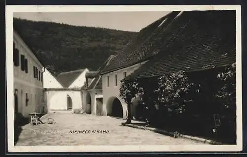 AK Altenburg /N.-Oe., Steinegg am Kamp, Strassenpartie im Ort