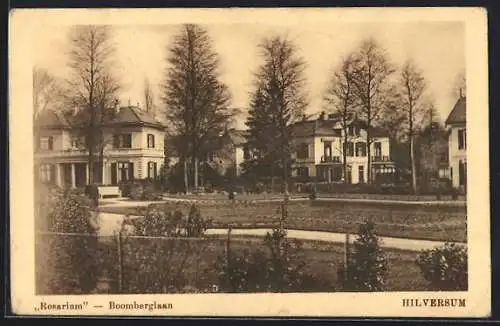 AK Hilversum, Rosarium Boomberglaan