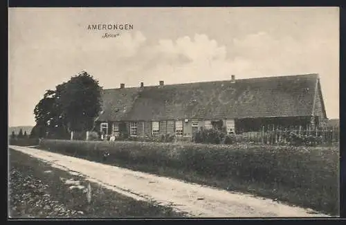 AK Amerongen, Erica