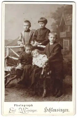 Fotografie Emil Meininger, Schleusingen, Fünf Kinder vor einem rustikalen Zaun und malerischem Hintergrund