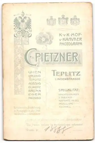 Fotografie C. Pietzner, Teplitz, Lindenstrasse, Paar in eleganter Kleidung