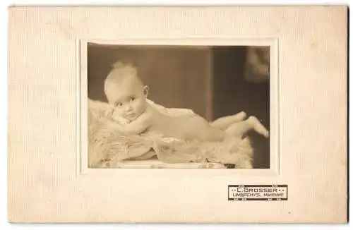 Fotografie C. Grosser, Limbach, Markstrasse 12, Porträt eines Babys auf einem Fell