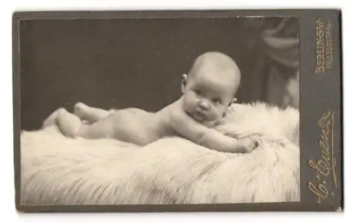 Fotografie C. Euen, Berlin SW, Friesenstr. 14, Liegendes Baby auf einem weichen Fell