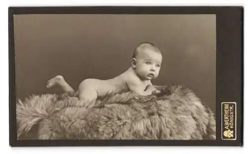 Fotografie A. Wertheim, Berlin, Königsstr. 27, Baby auf einem Fellteppich liegend