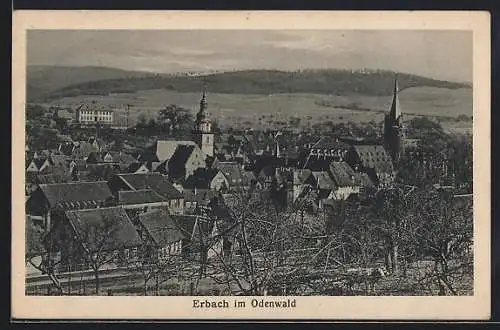 AK Erbach im Odenwald, Ortsansicht mit Kirchen