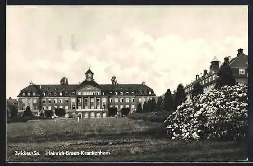 AK Zwickau /Sa., Heinrich-Braun-Krankenhaus mit vorgelagertem Garten