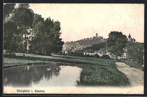 AK Königstein i. Taunus, Teich am Ortsrand