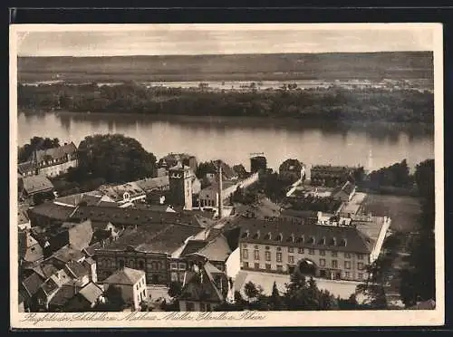 AK Eltville, Blick auf Sektkellerei Matheus Müller vom Flugzeug aus