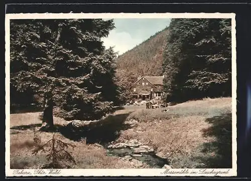 AK Tabarz /Thür. Wald, Massermühle im Lauchagrund