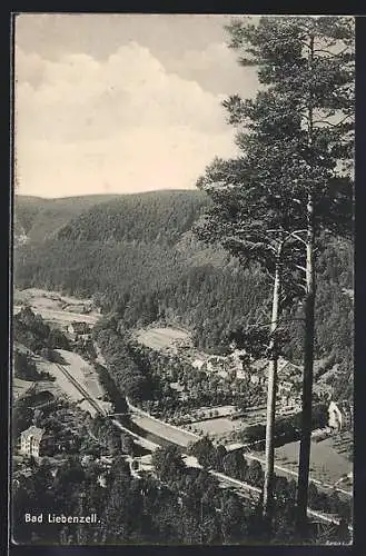 AK Bad Liebenzell, Teilansicht mit Fluss