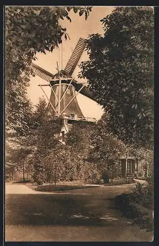 AK Emden / Ostfriesland, Windmühle