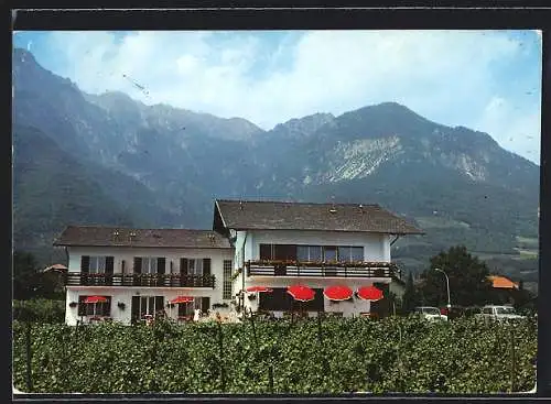 AK Tramin bei Bozen, Pension Garni Erika