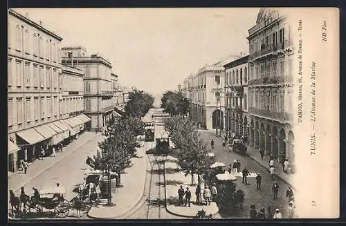 AK Tunis, L`Avenue de la Mairie, Strassenbahn