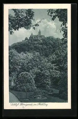 AK Wernigerode, Schloss im Frühling mit Wald und Park