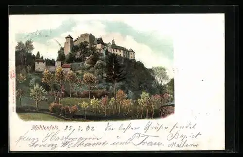 AK Hohlenfels, Sicht auf die Burg