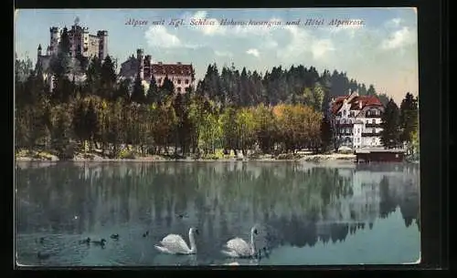 AK Schwangau i. B., Kgl. Schloss Hohenschwangau und Hotel Alpenrose am Alpsee