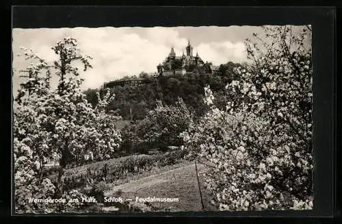 AK Wernigerode am Harz, Schloss, Feudalmuseum, mit blühenden Obstbäumen