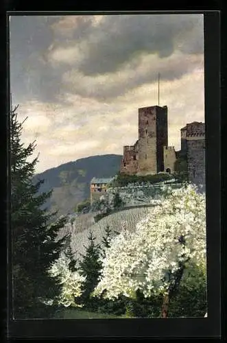 Künstler-AK Photochromie Nr. 2431: Oberwesel, Schönburg