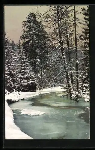 Künstler-AK Photochromie Nr. 2403: Nadelwald im Winter mit Bachlauf