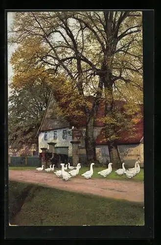 Künstler-AK Photochromie Nr. 3217: Gänse auf dem Weg vor dem Bauernhof