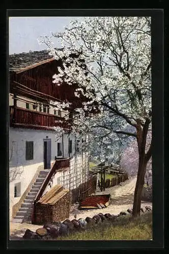 Künstler-AK Photochromie Nr. 2707: Obstblüte an einem Haus in Tirol