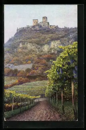 Künstler-AK Photochromie Nr. 3489: Burg Hocheppan, Ueberetsch, Süd-Tirol