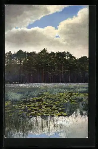 Künstler-AK Photochromie Nr.2810: Teich mit Seerosen und Feuchtwiese, dahinter Kiefernwald