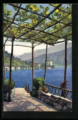 Künstler-AK Photochromie Nr. 3343: Blick auf See mit Bergen