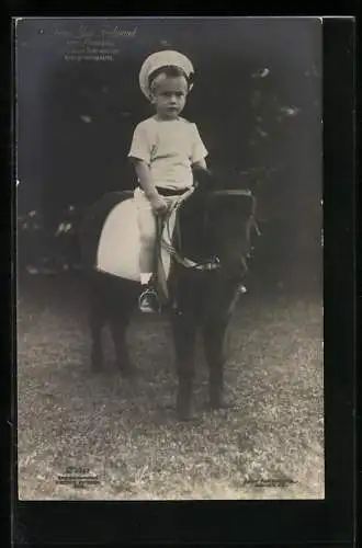 AK Prinz Louis Ferdinand von Preussen auf einem Pony 1907