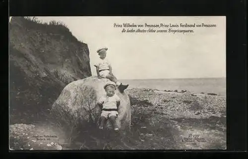 AK Prinz Wilhelm von Preussen und Prinz Louis Ferdinand von Preussen spielen am Strand