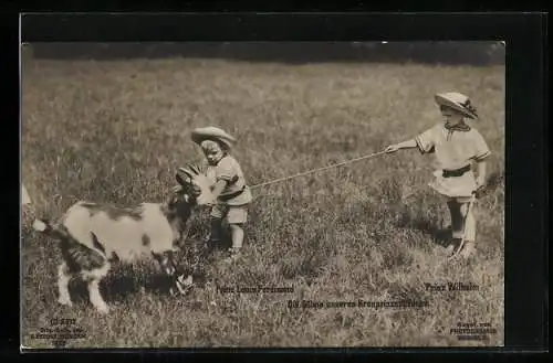 AK Prinz Wilhelm von Preussen, Spiel mit Prinz Louis Ferdinand und einer Ziege