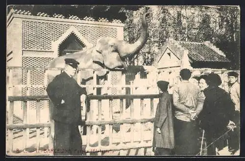 AK Barcelona, Parque