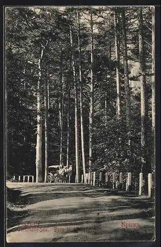 AK Utschan-Su /Krim, Pferdekutsche auf Waldstrasse