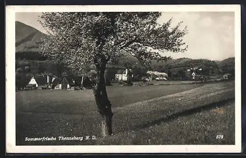 AK Thenneberg /N. D., Ortspanorama mit blühendem Baum