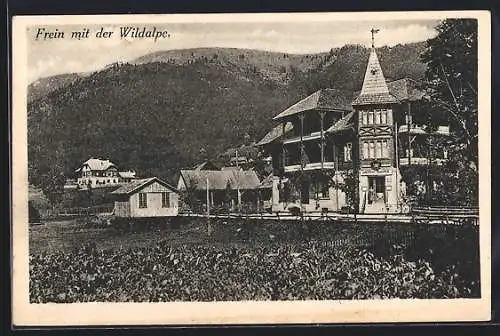 AK Frein an der Mürz, Gemischtwarenhandlung Anton Mayer, Blick zur Wildalpe