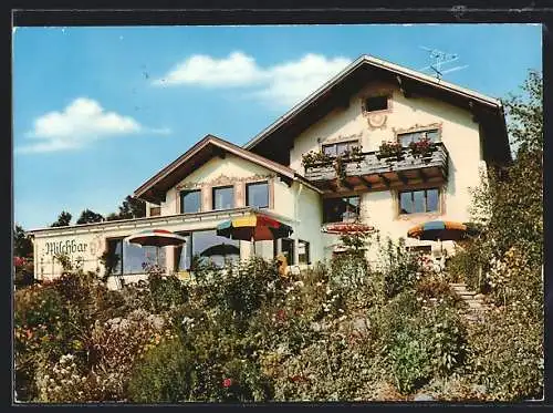 AK Jungholz /Tirol, Pension Haus Renate der Fam. Prutscher